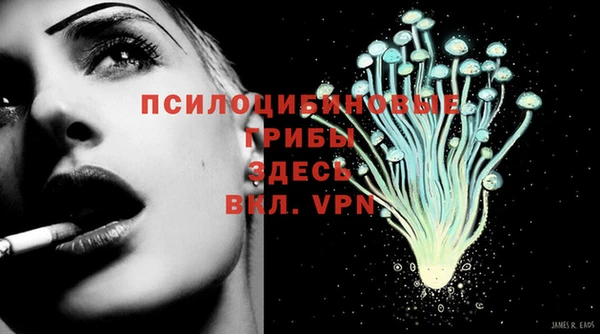 ALPHA PVP Покачи