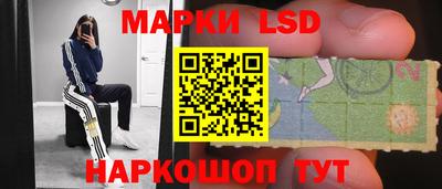 PSILOCYBIN Кингисепп