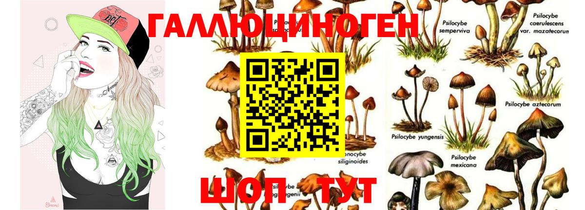 Псилоцибиновые грибы MAGIC MUSHROOMS Кумертау