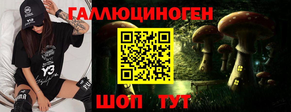 Кумертау  Галлюциногенные грибы прущие грибы  что такое   Вход с VPN 